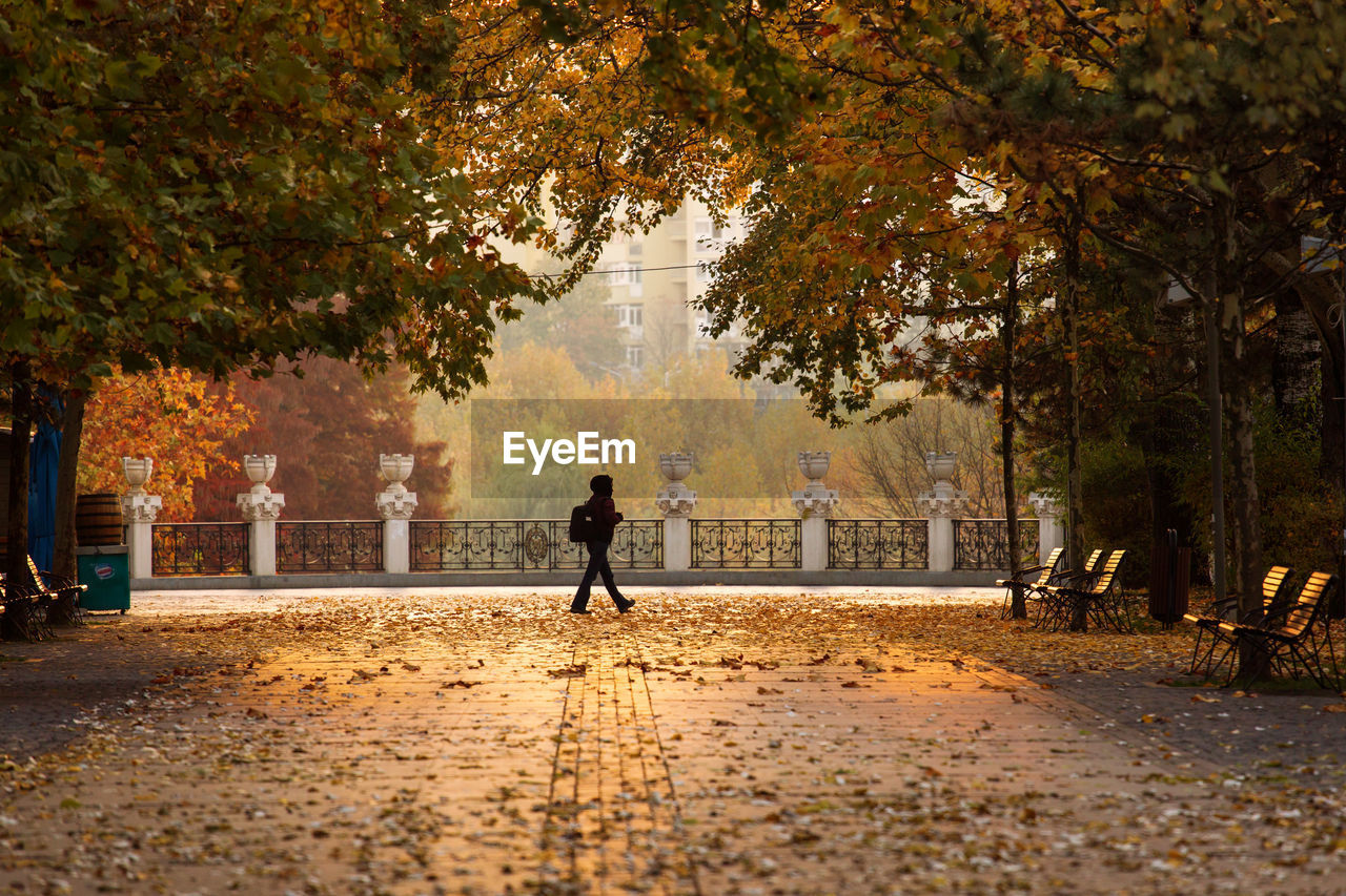 Man walking on footpath in city during autumn