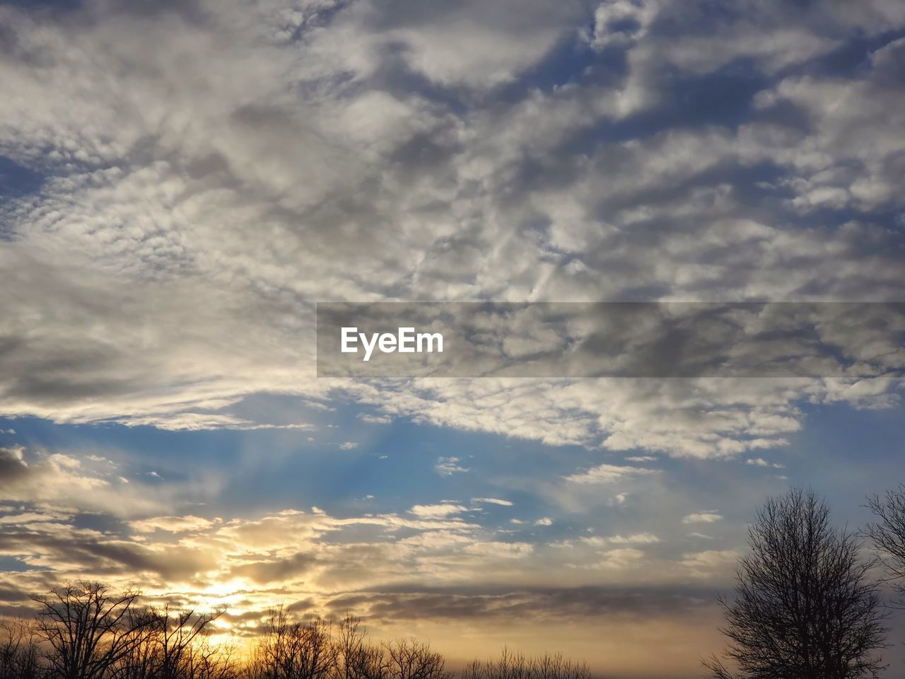 Low angle view of trees against dramatic sky