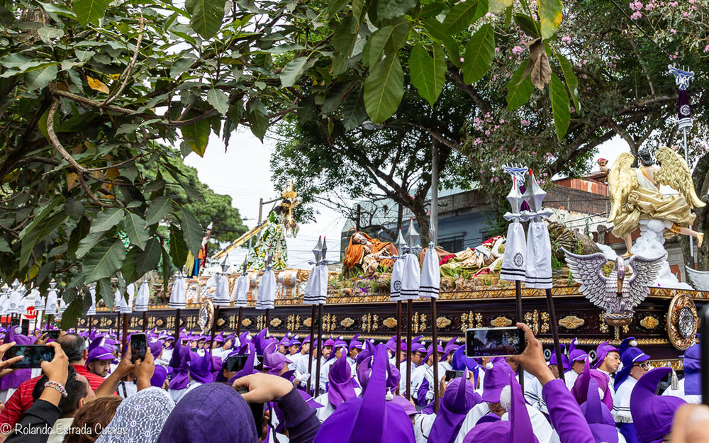 crowd, large group of people, group of people, tree, plant, belief, religion, festival, women, day, spirituality, men, nature, tradition, architecture, outdoors, person, lifestyles, celebration, adult, built structure, event