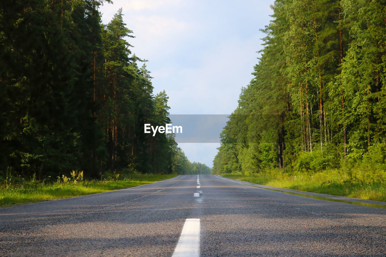 EMPTY ROAD AMIDST TREES