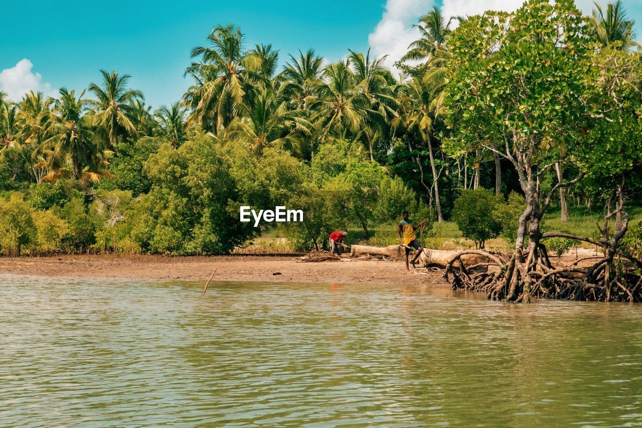 A group of tourists having fun at the shores of ramisi river in funzi island in diani, kenya.