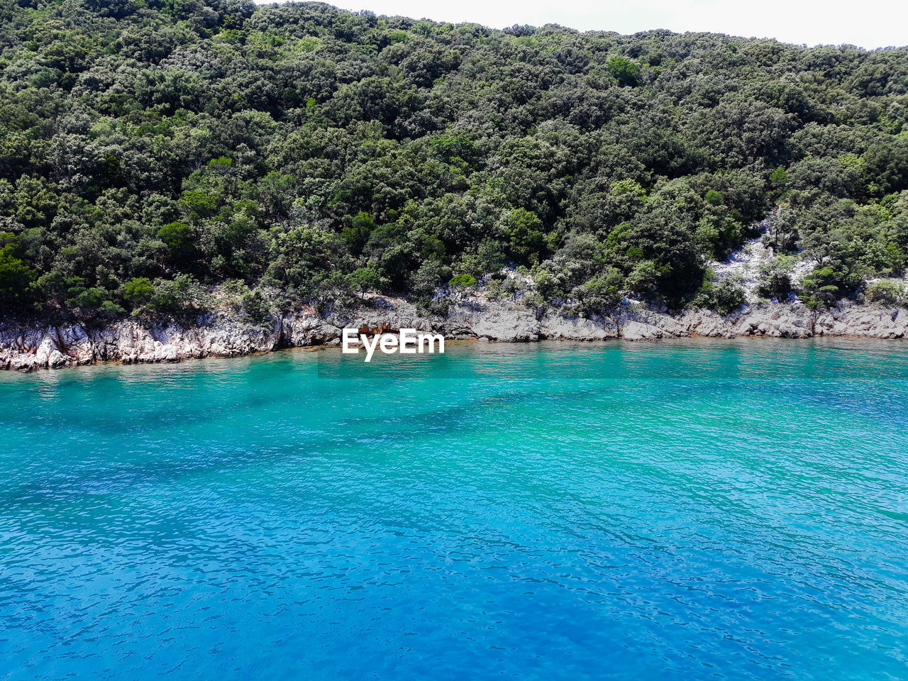 Scenic view of sea against trees