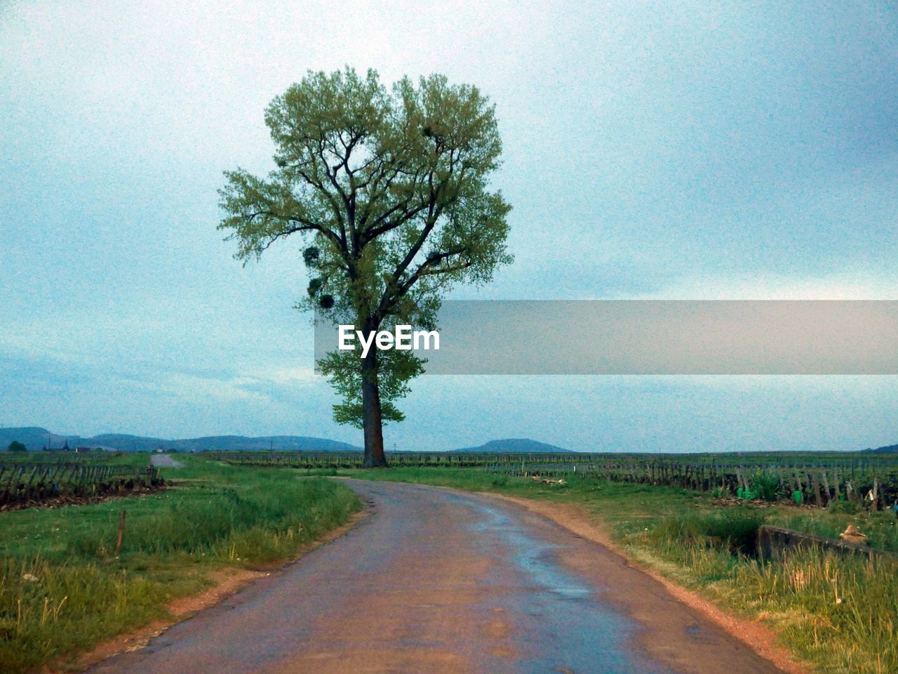 ROAD PASSING THROUGH FIELD