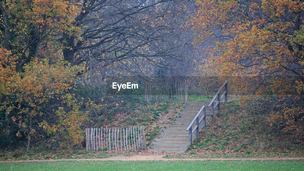 FOOTPATH IN PARK DURING AUTUMN