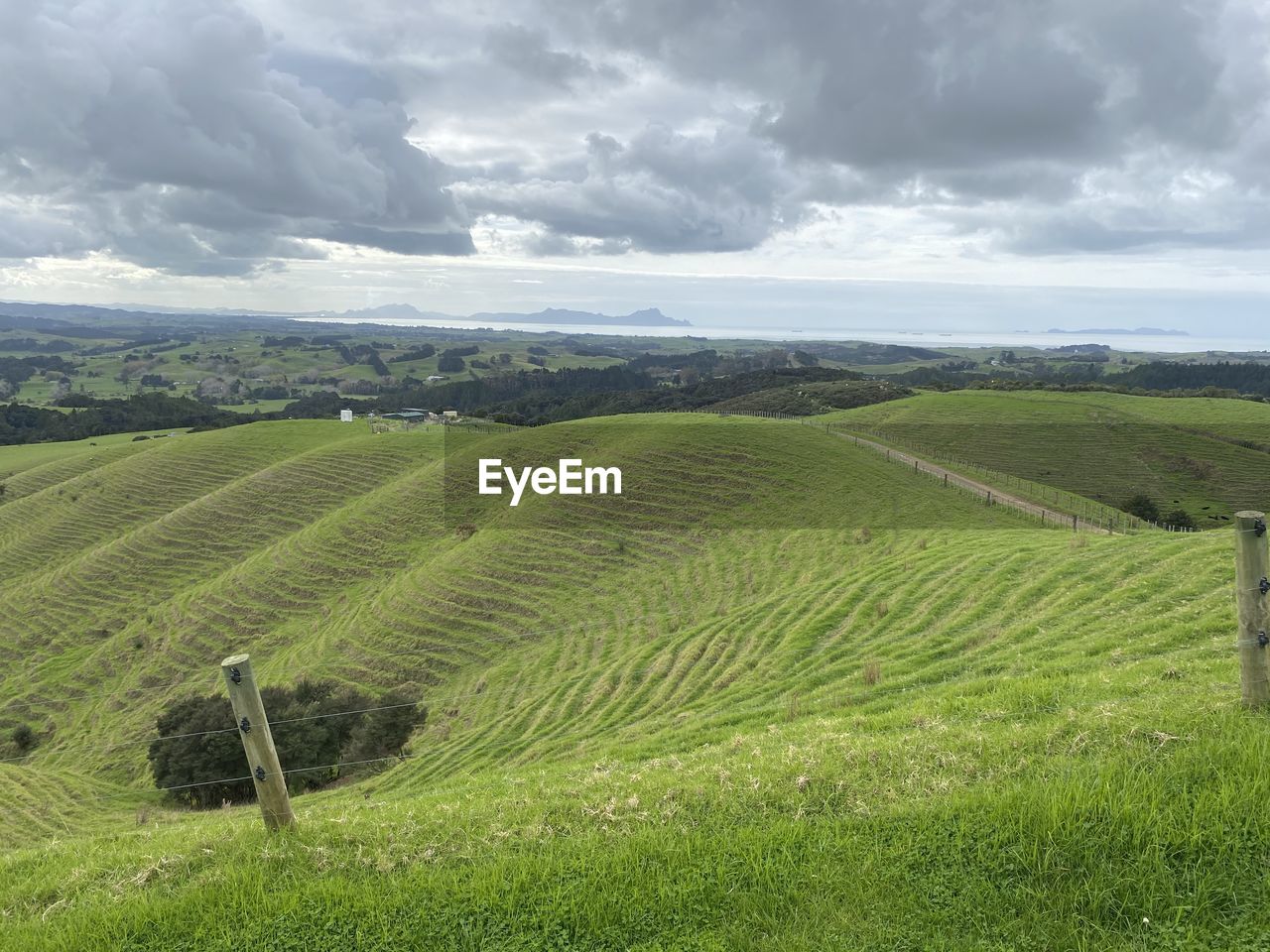 Farmland view green grass hills new zealand scenic