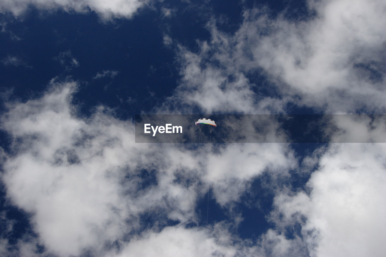 LOW ANGLE VIEW OF BIRD FLYING