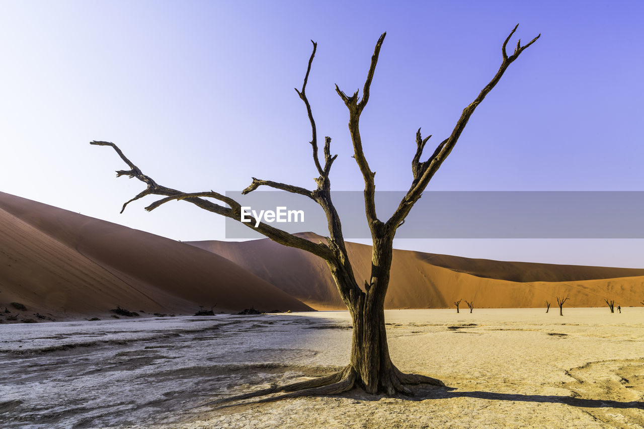 scenic view of desert against clear sky