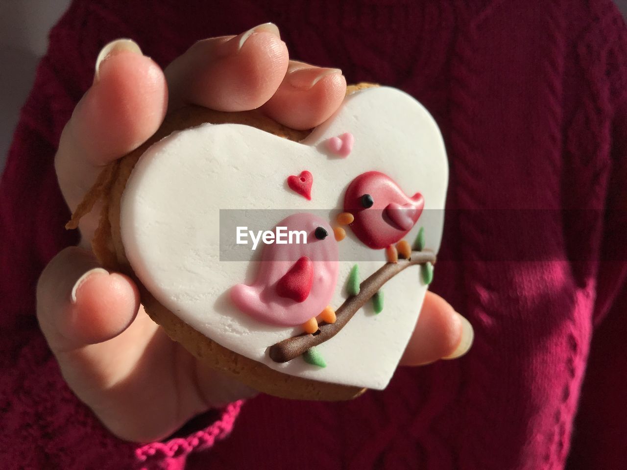 Woman holding a gingerbread cookie with love bird icing, a valentine day treat.