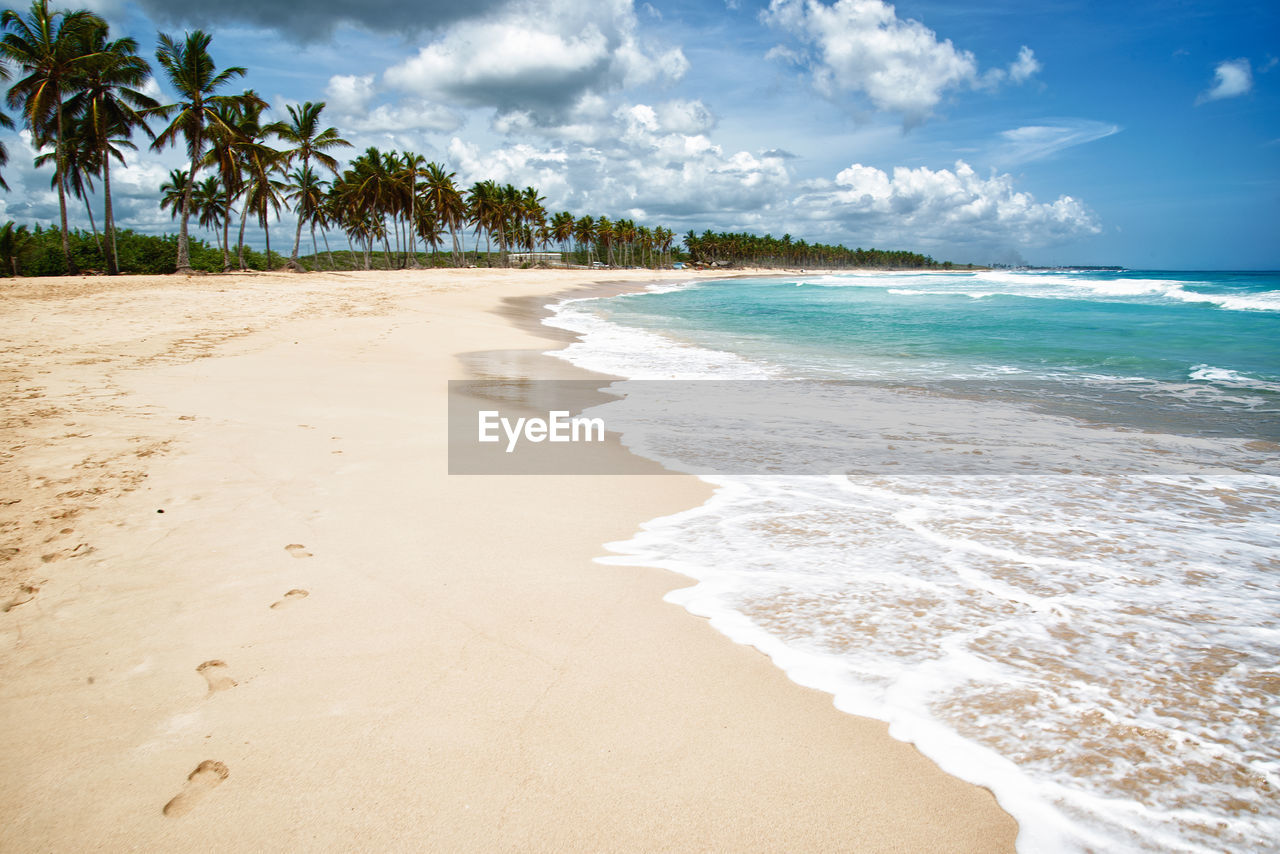 Punta cana dominican republic paradise beach landscape