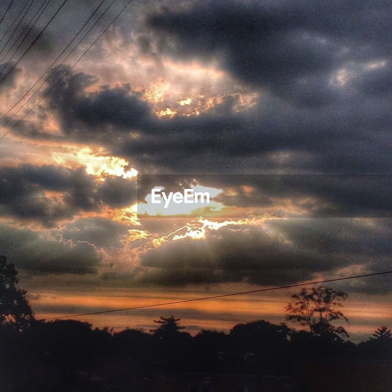 Silhouette of field at sunset