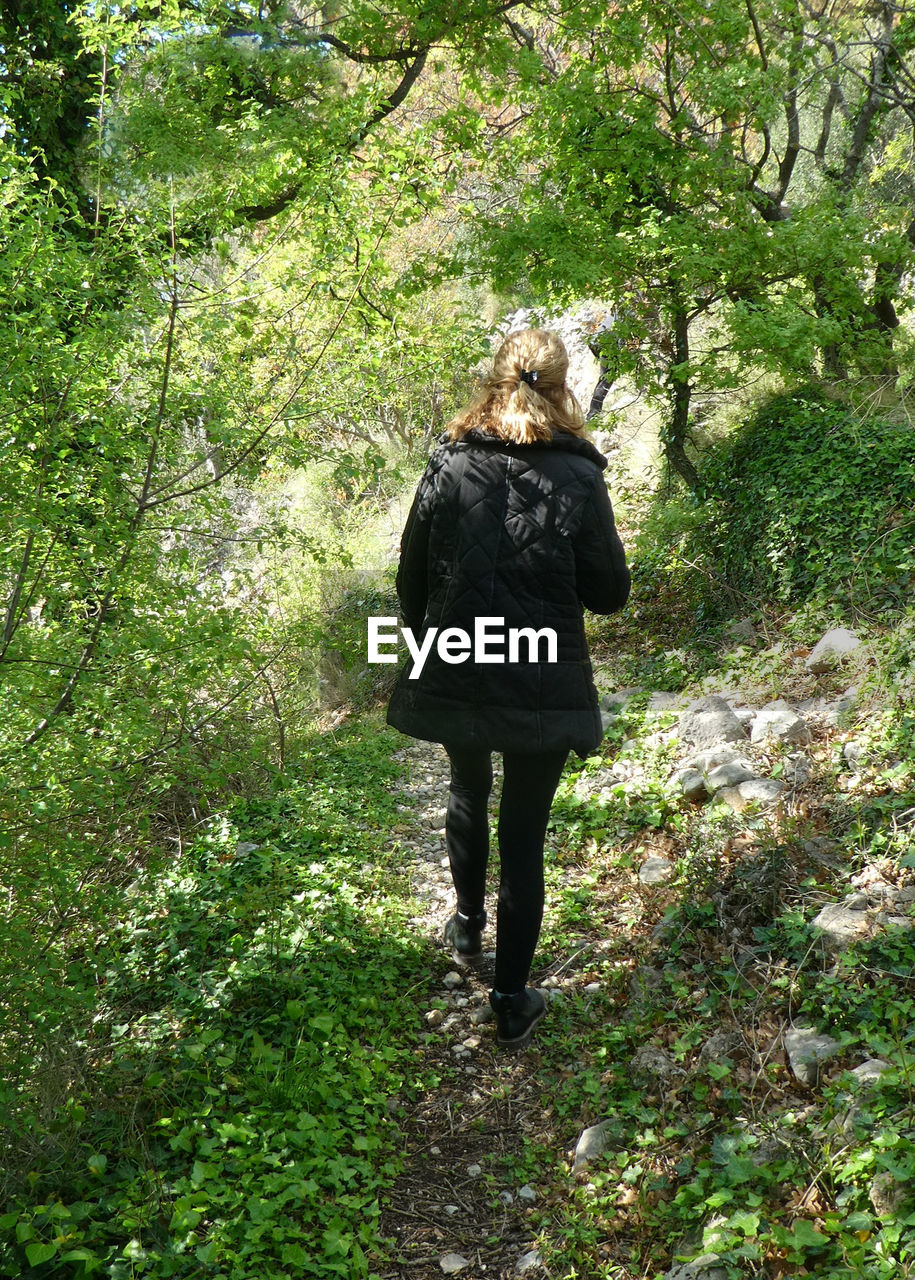 Rear view of person wearing black walking in forest 