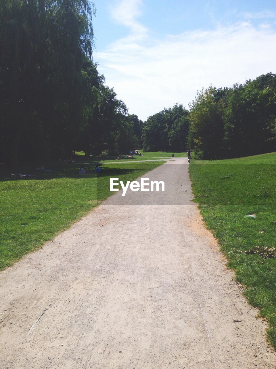 Footpath in park under on sunny day