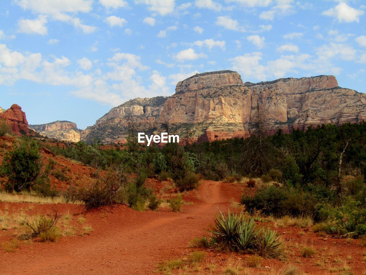 landscape, rock, sky, scenics - nature, environment, nature, plant, rock formation, land, travel destinations, beauty in nature, valley, desert, semi-arid, tree, mountain, travel, non-urban scene, no people, wilderness, cloud, canyon, plateau, wadi, geology, outdoors, tourism, park, tranquility, natural environment, tranquil scene, day, arid climate