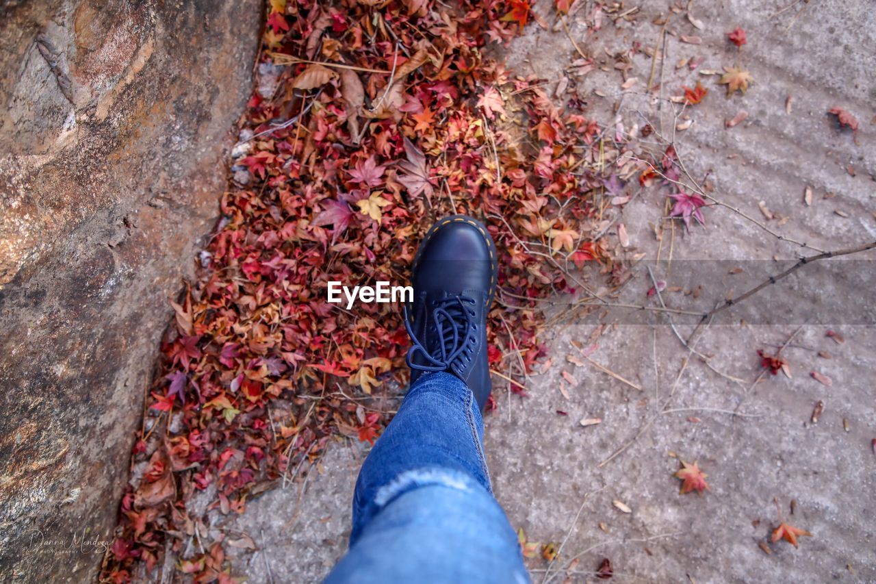 Low section of man standing on leaves