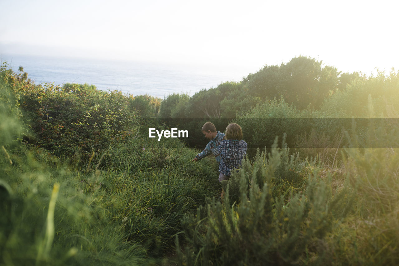 Carefree siblings playing amidst plants in forest