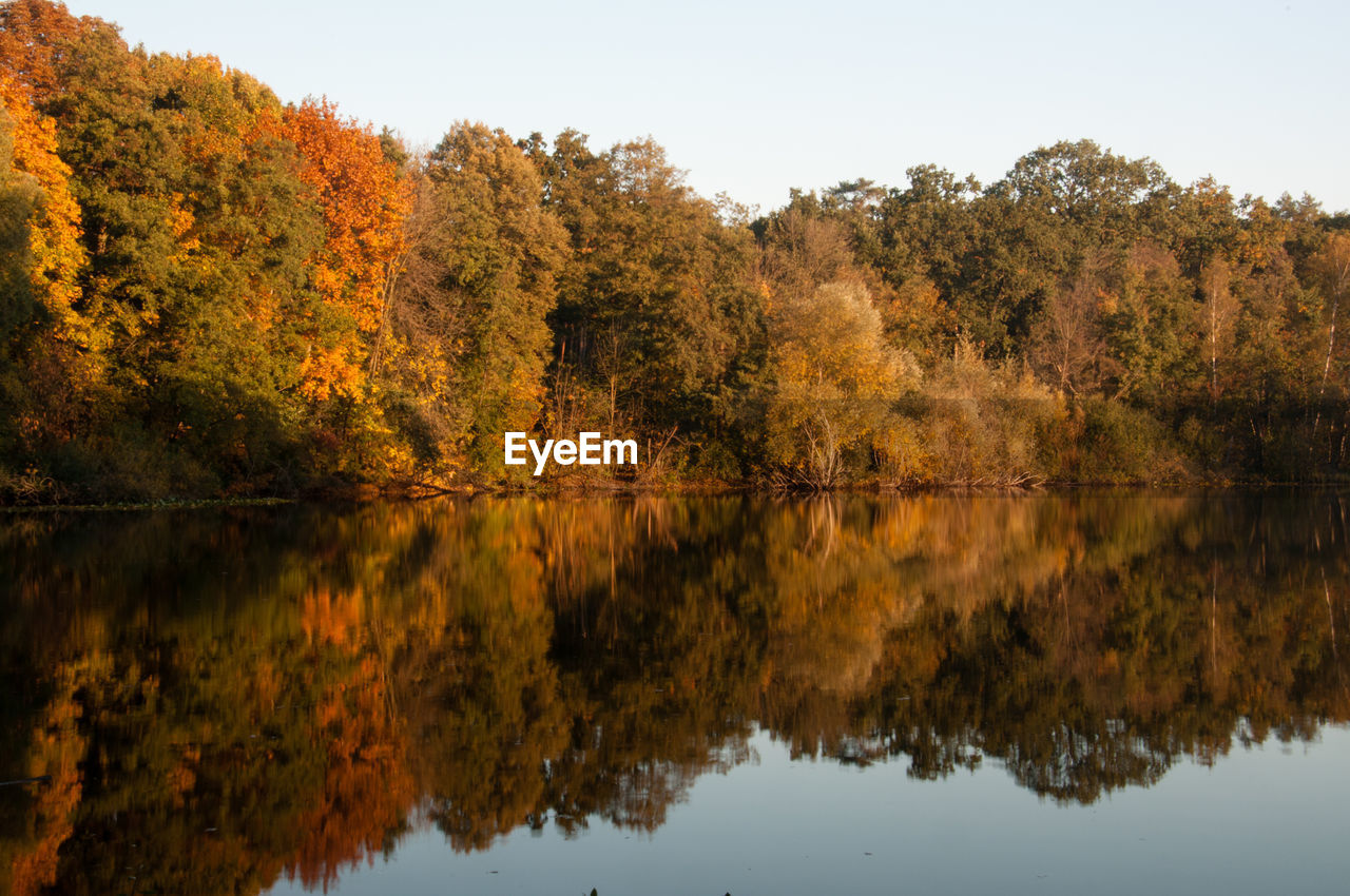 Reflection of trees in lake against sky during autumn