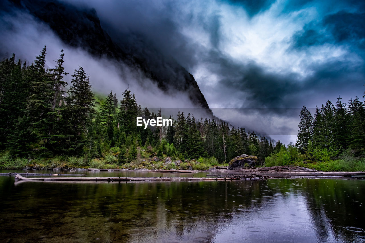 Scenic view of lake by trees against sky