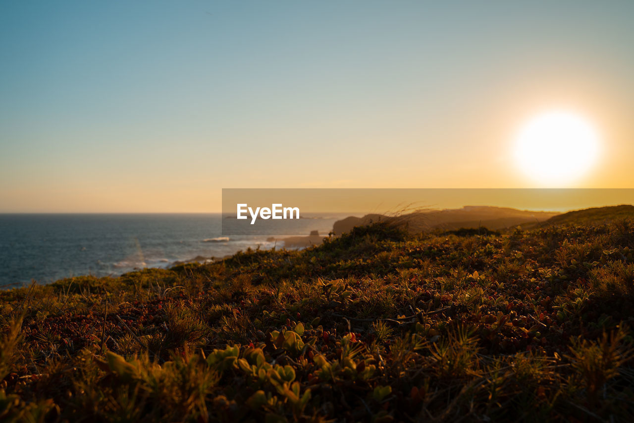 Scenic view of sea against clear sky during sunset