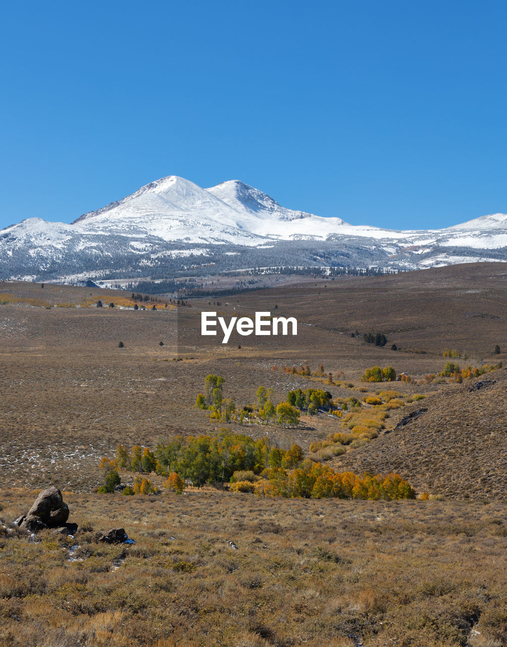 Autumn colors in front of the sierra nevada mountains