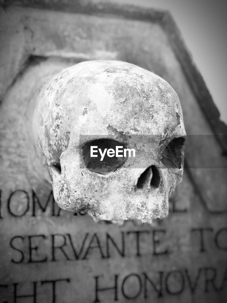 CLOSE-UP OF HUMAN HAND ON ABANDONED CEMETERY