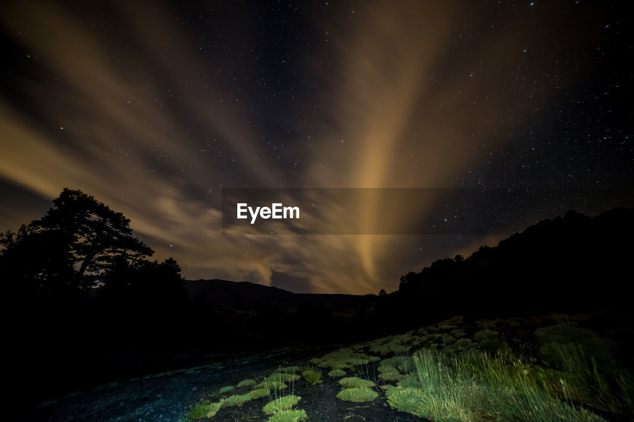 Scenic view of silhouette trees against sky at night