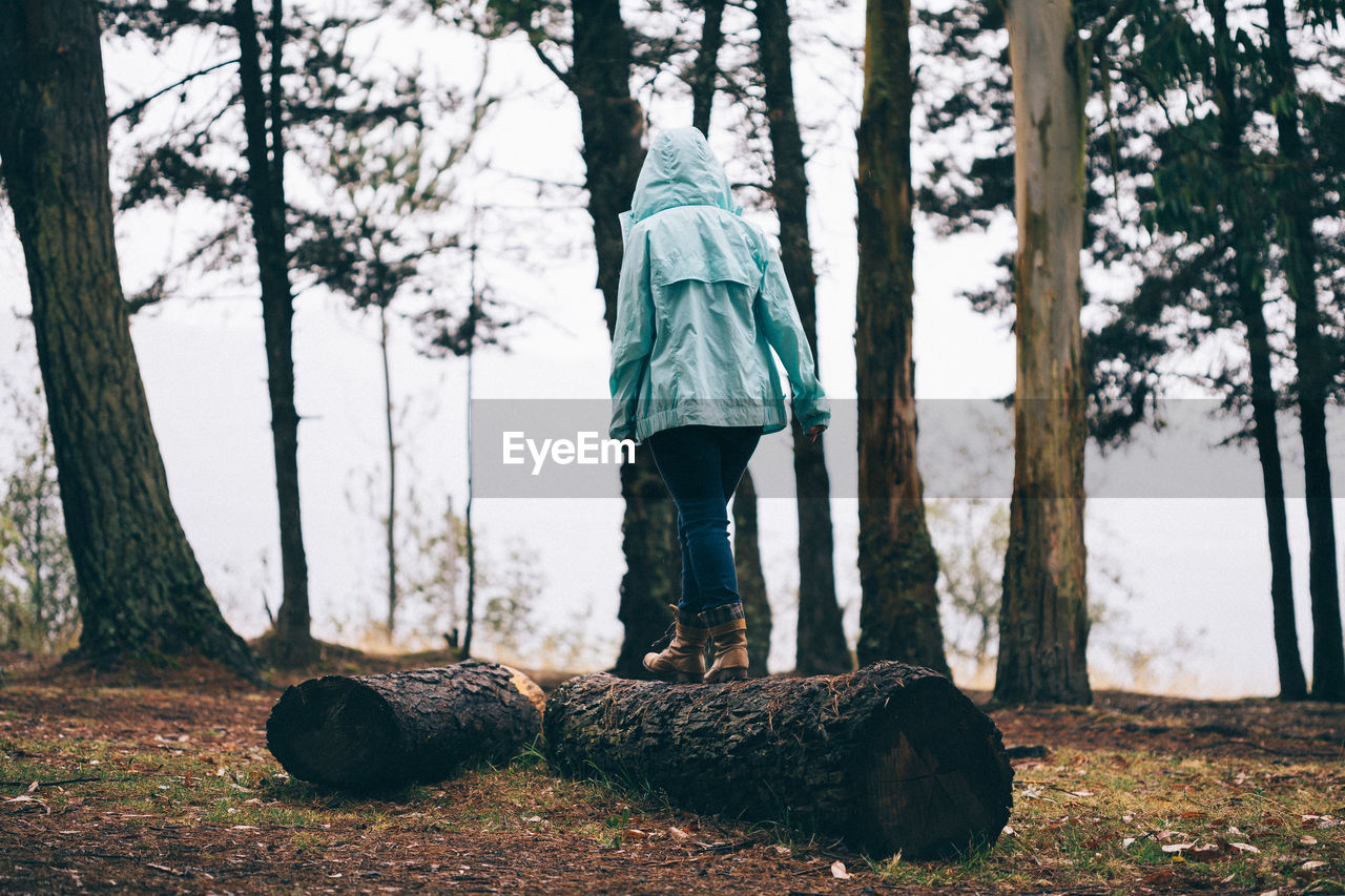 MAN IN TREE TRUNK