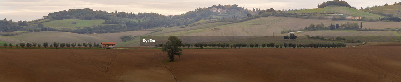 Hills of orciano pisano with plowed land, tuscany, pisa