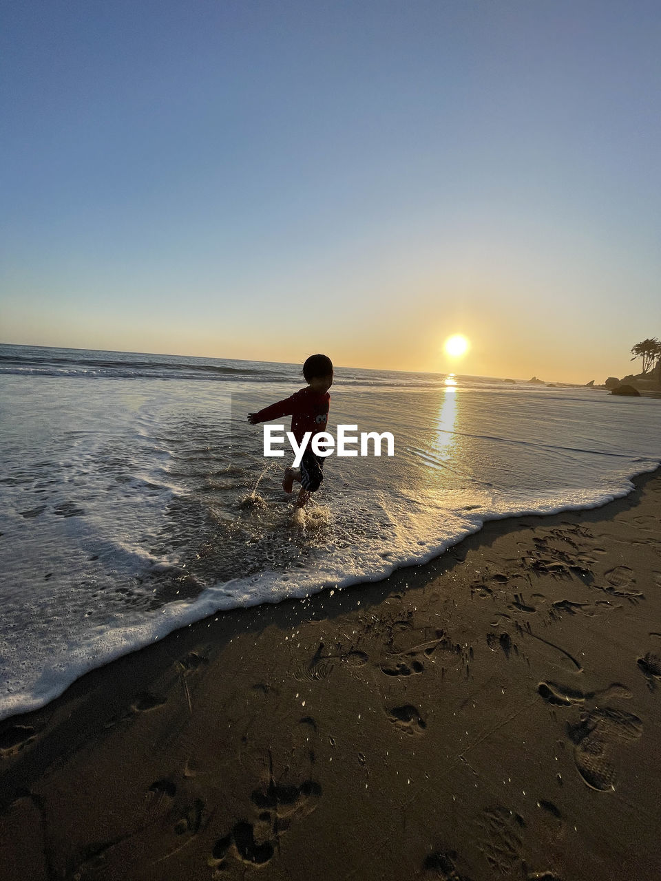 MAN ON BEACH DURING SUNSET
