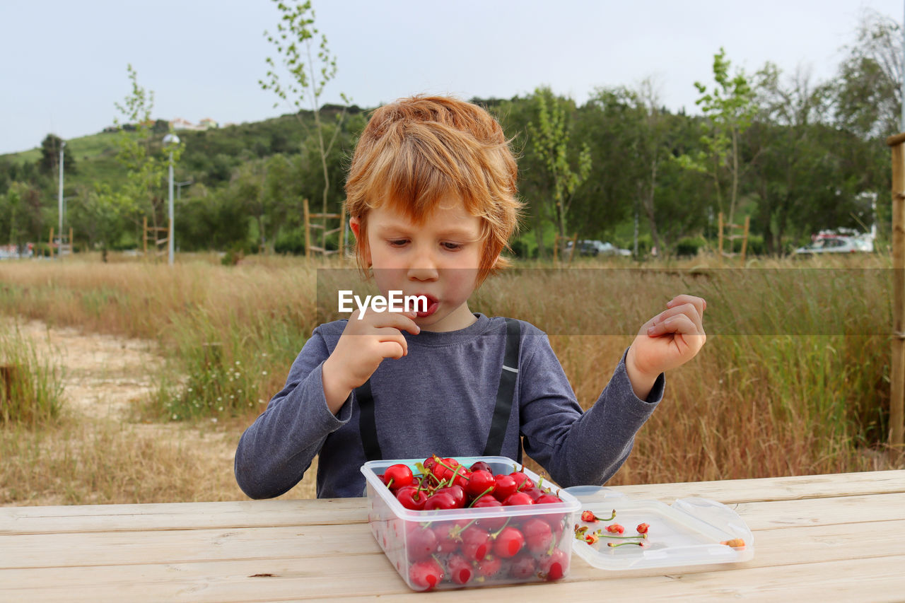 The boy lowered his eyes and took a bite of his cherry. a five-year-old boy eats fruit outdoors. 