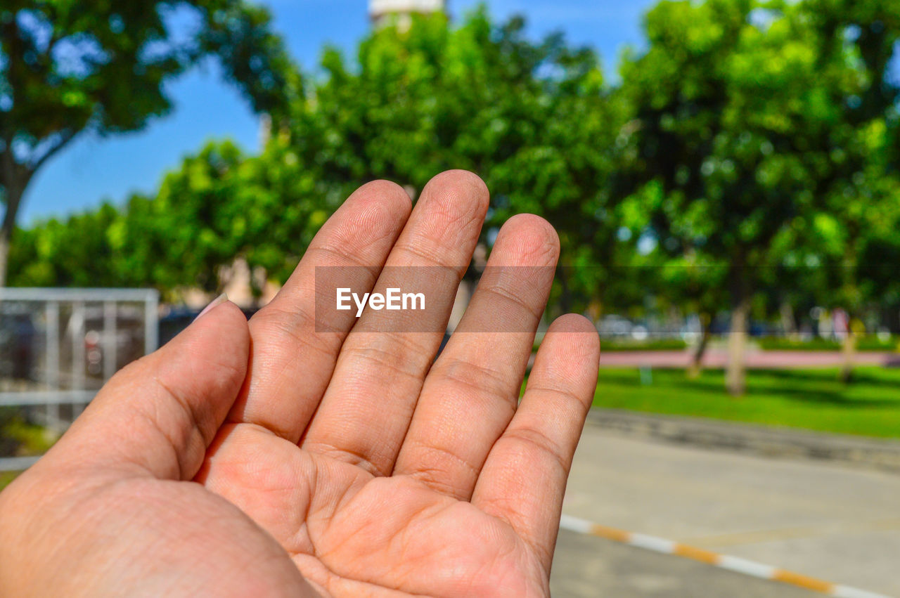 Close-up of human hand gesturing in park during sunny day