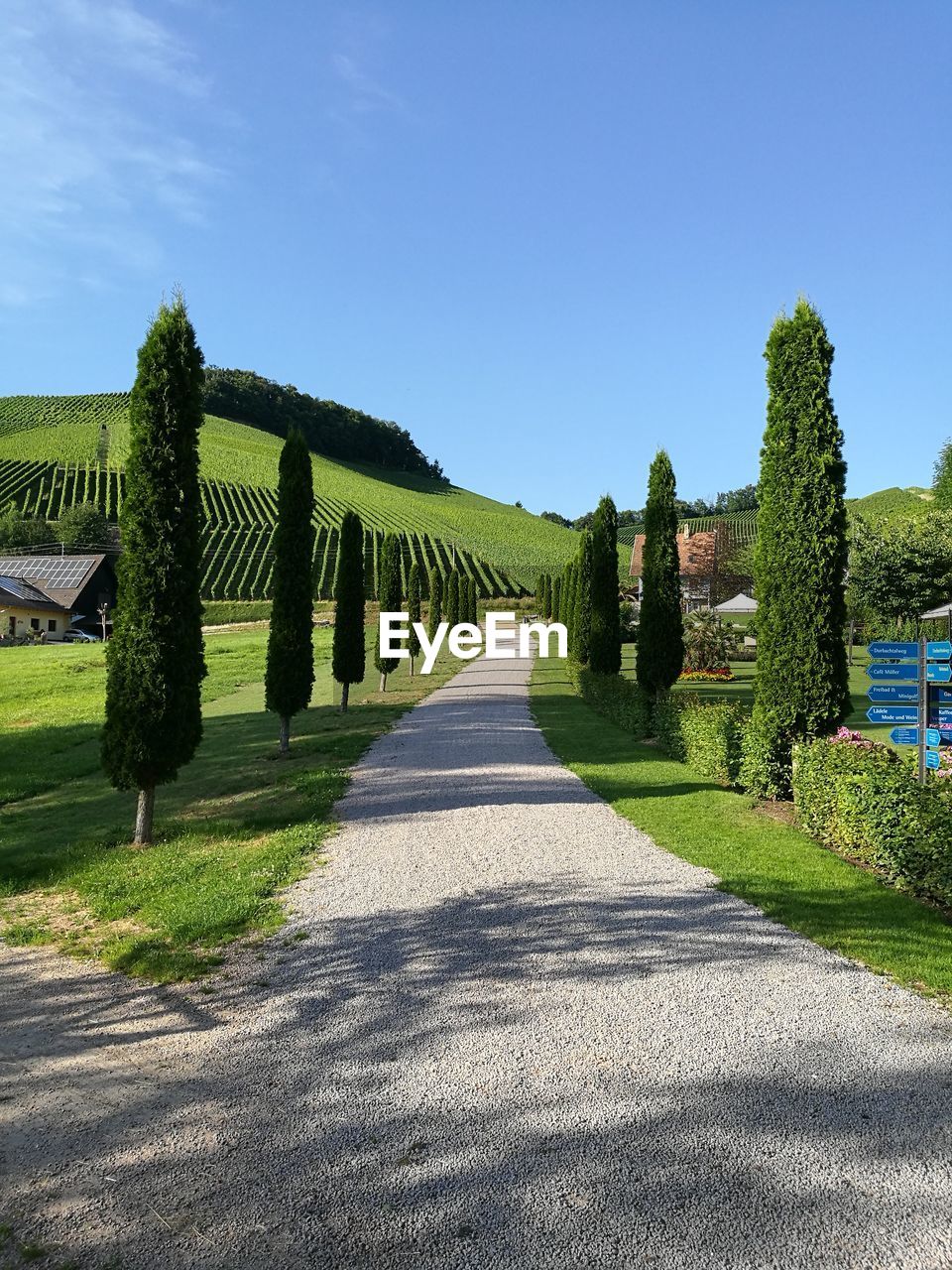 Tranquil rural scene with treelined narrow pathway