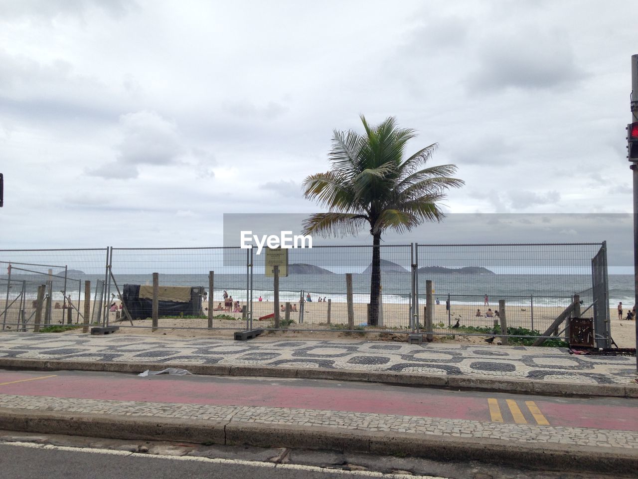 Palm trees by sea against sky