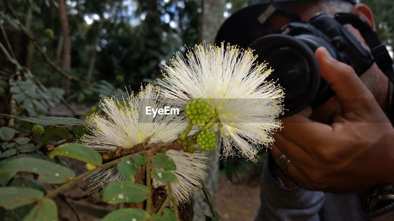 CLOSE-UP OF MAN HOLDING FLOWER