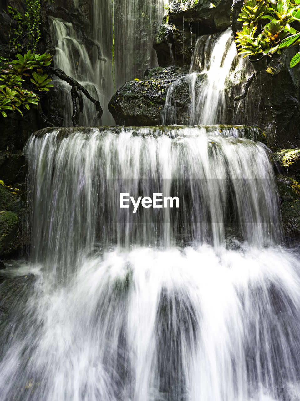 waterfall, water, beauty in nature, motion, scenics - nature, forest, nature, watercourse, body of water, environment, plant, tree, long exposure, land, no people, blurred motion, flowing water, water feature, outdoors, flowing, water resources, stream, rock, freshness, rainforest, tropical climate, idyllic