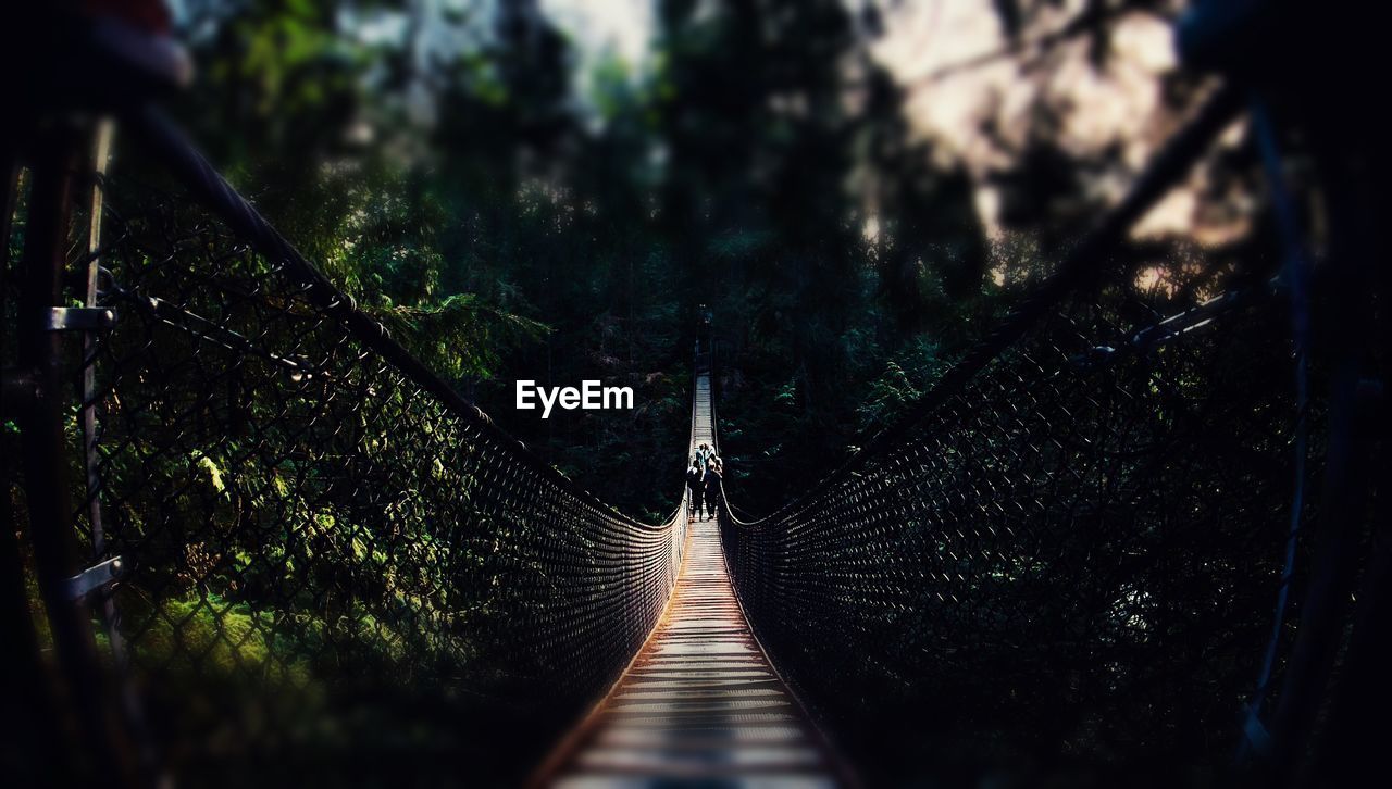 Footbridge amidst trees in forest