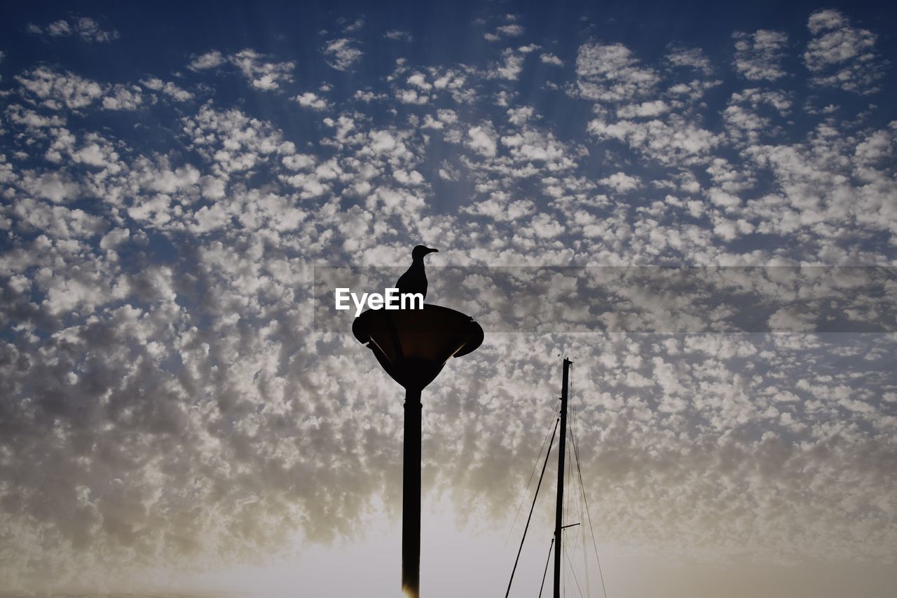 LOW ANGLE VIEW OF LAMP POST AGAINST SKY