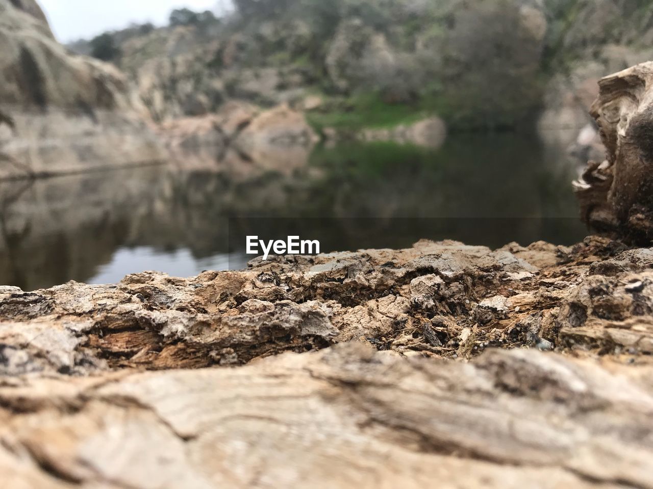 CLOSE-UP OF ROCK BY WATER