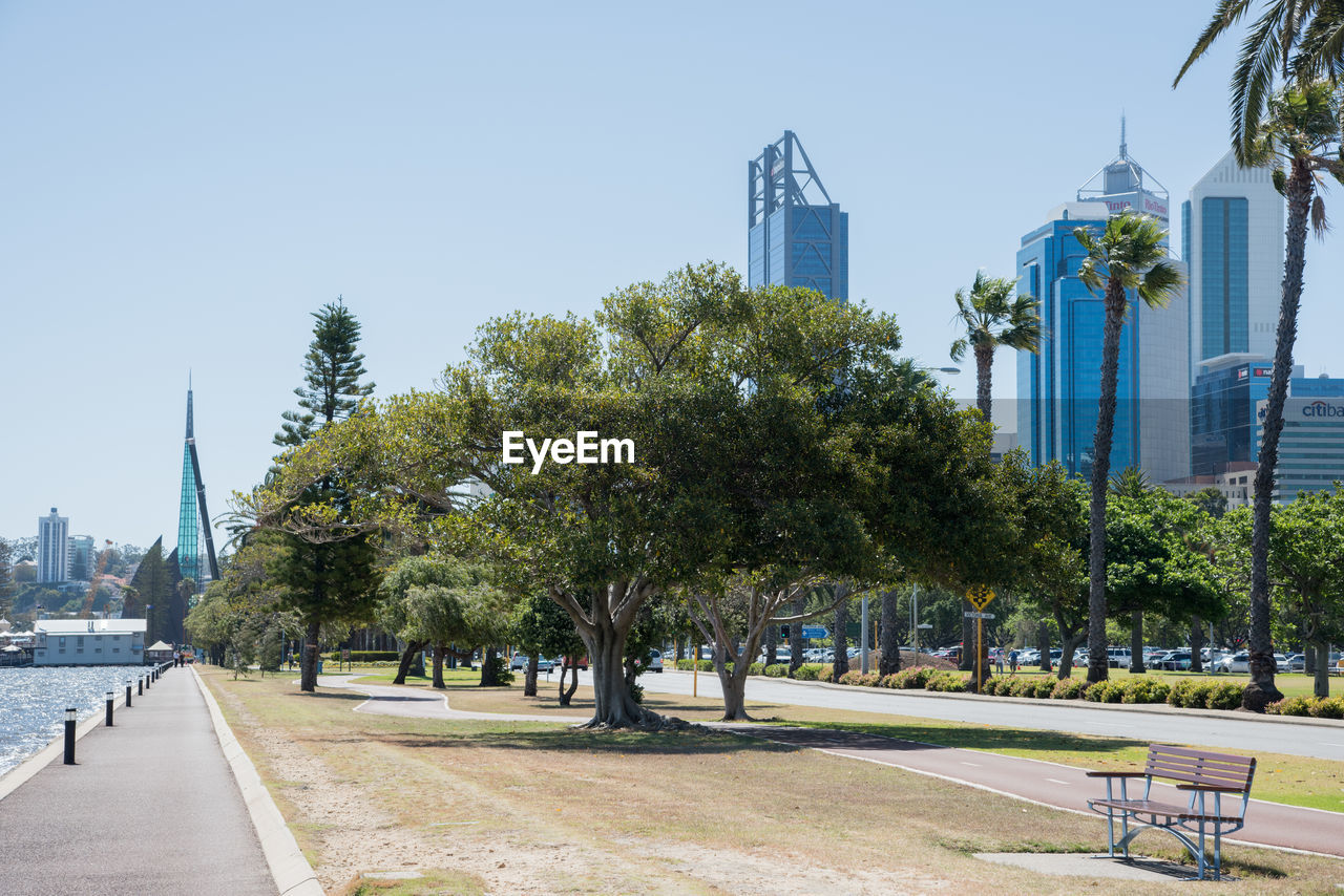 Trees in city