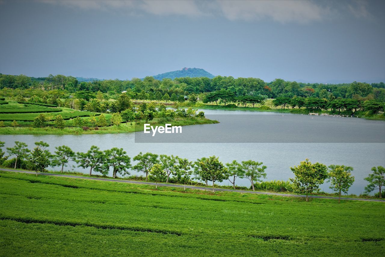 Scenic view of lake and trees against sky