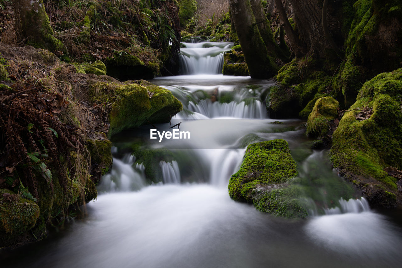 WATERFALL IN FOREST