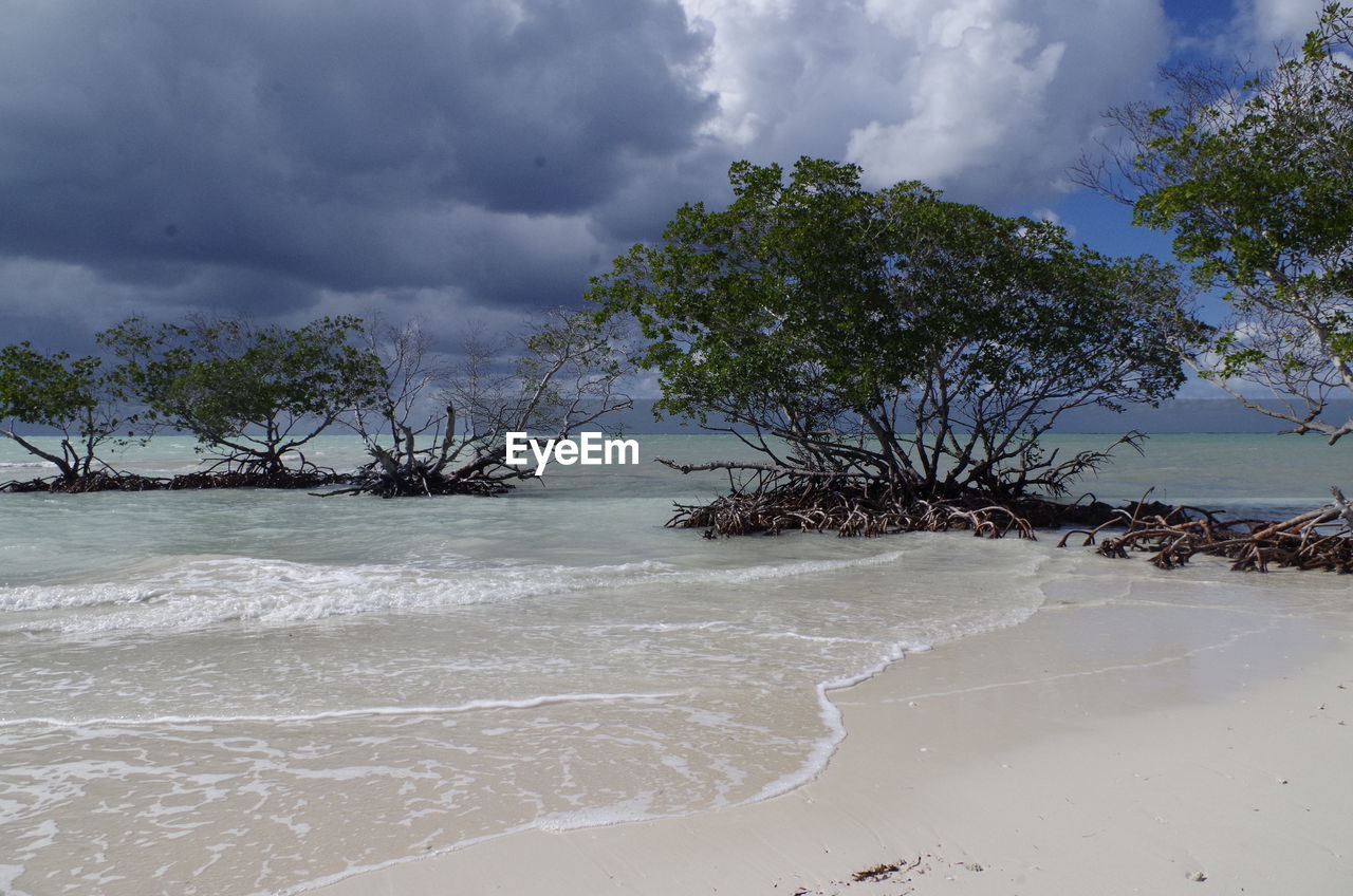 Scenic view of beach against sky