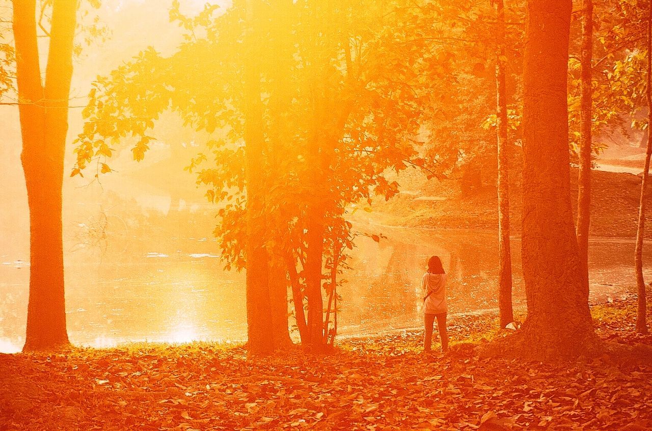 SHADOW OF WOMAN STANDING ON TREE IN FOREST