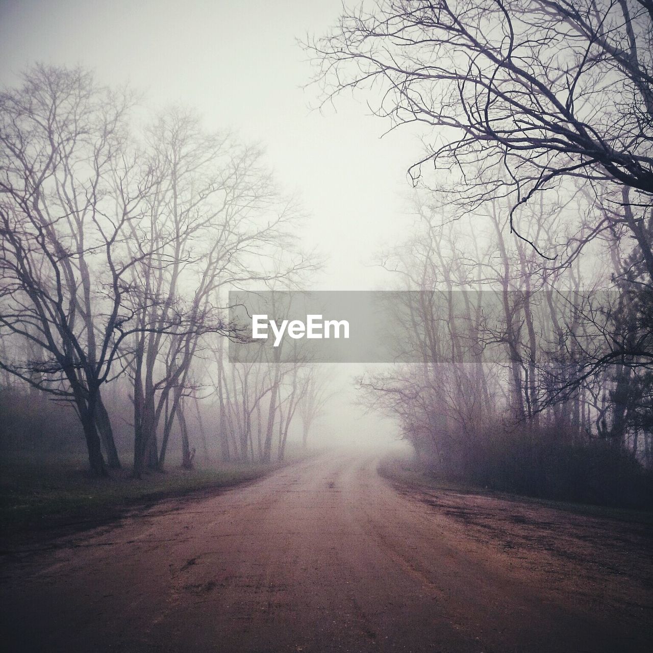 Empty road amidst bare trees against sky during foggy weather