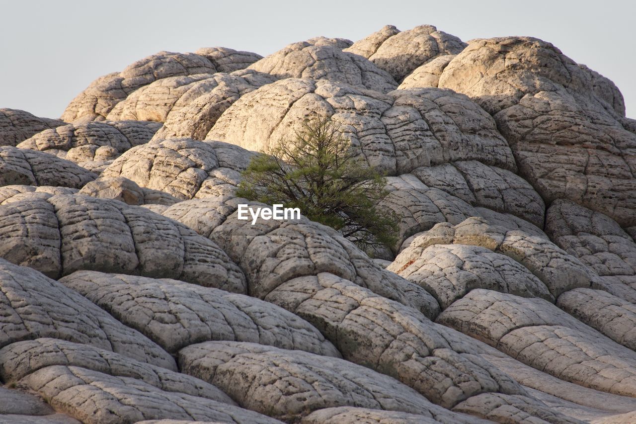 Rock formation and single tree at sunrise