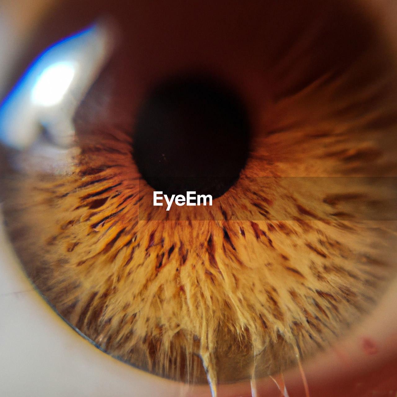 full frame shot of human eye