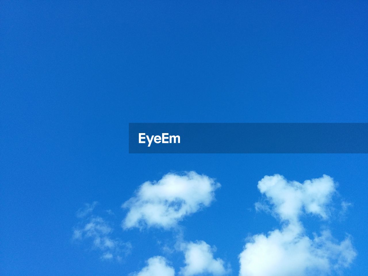 Low angle view of trees against blue sky