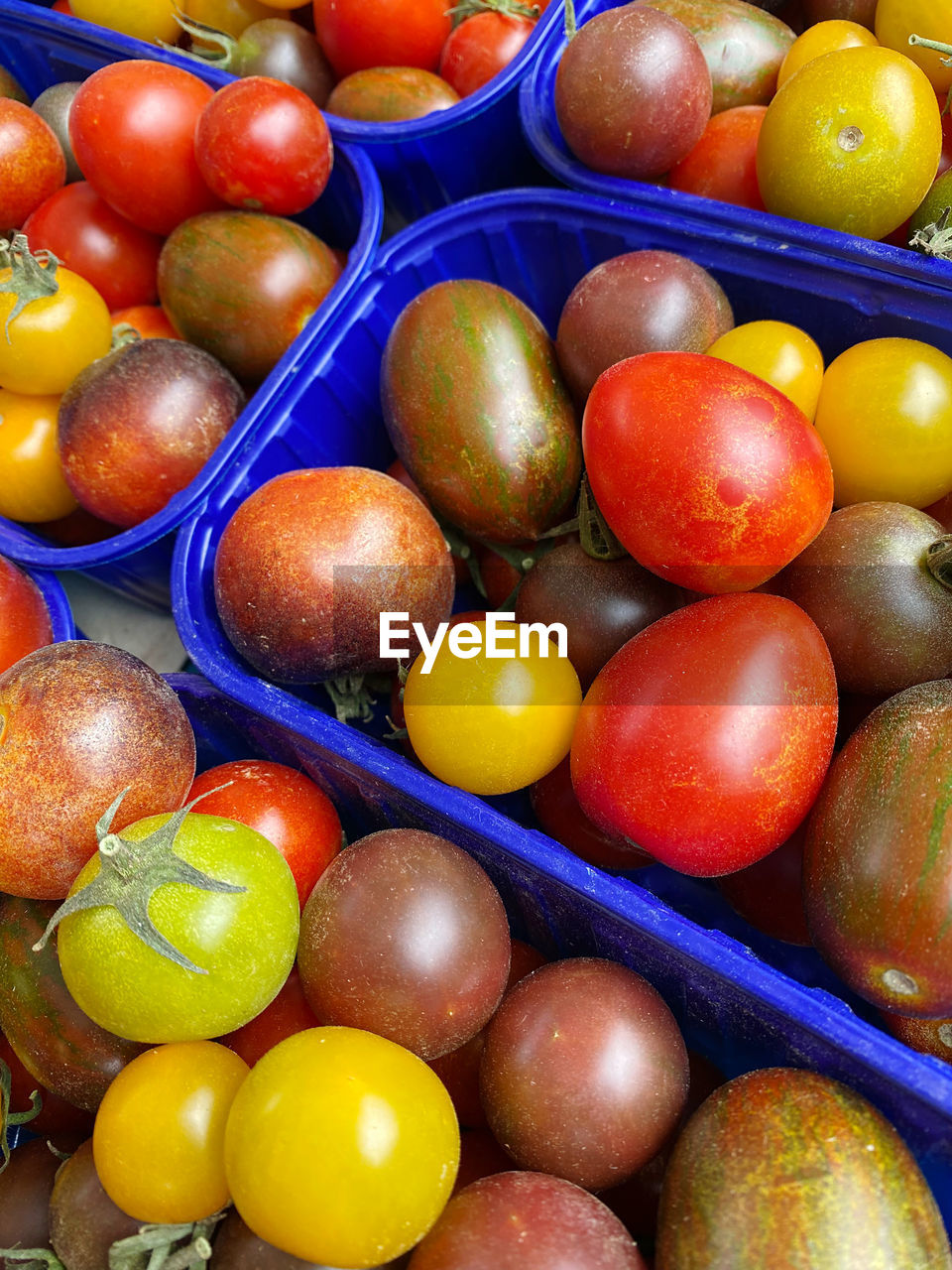 Full frame shot of multi colored tomatoes