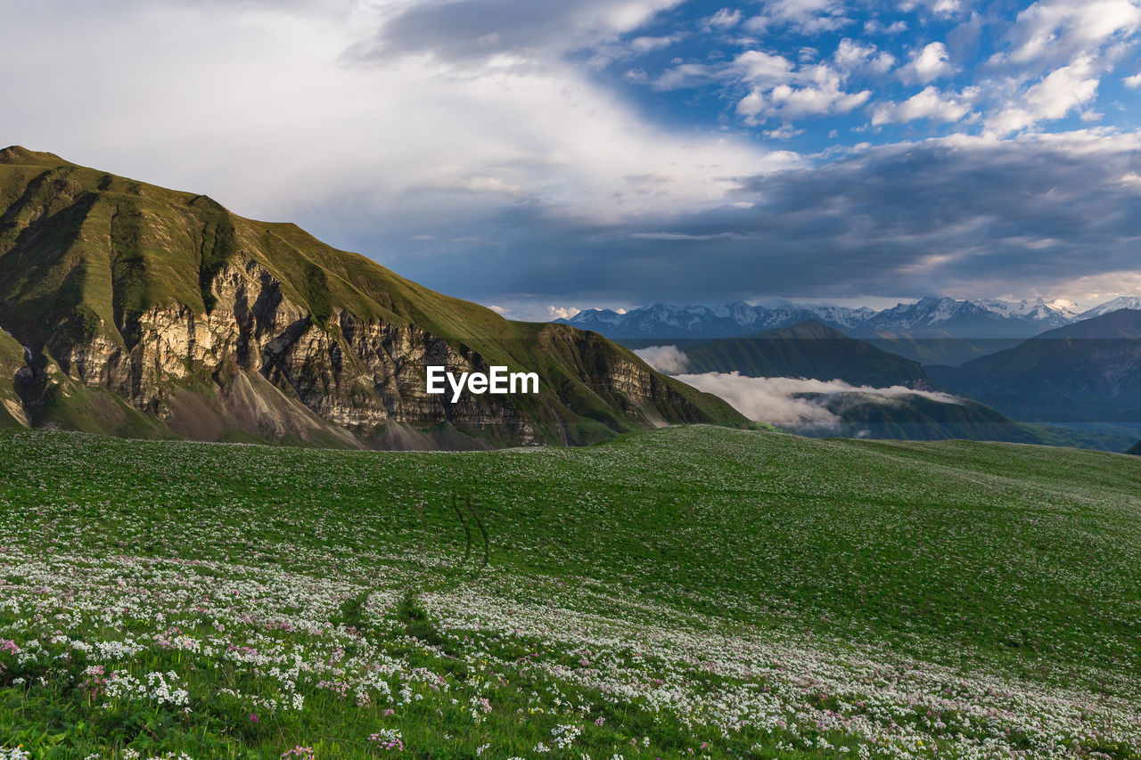 Alpine meadows in mountainous chechnya in the caucasus