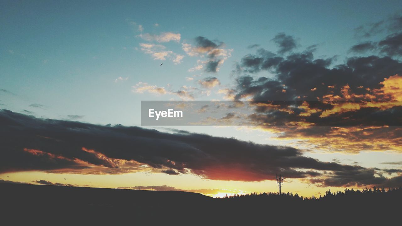 SILHOUETTE TREES AGAINST SKY DURING SUNSET