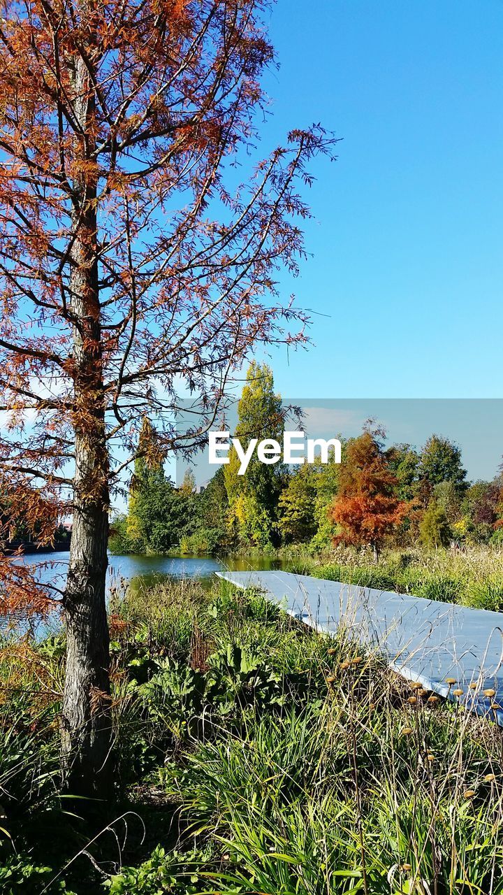 SCENIC VIEW OF LAKE AGAINST CLEAR SKY